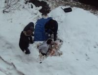 В Барнауле мужчина упал с восьмого этажа и остался жив