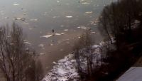 «Путешествие» шестилетнего бийчанина на льдине прервали спасатели