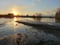 До барнаульского поселка Затон люди уже добираются вплавь