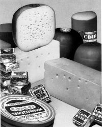 В Алтайском крае появится «сырная стипендия» для студентов