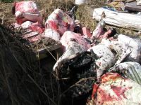 Свалку ядовитого мусора обнаружили после пожара на «Алтайагрохимии»