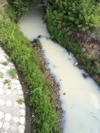 У вас река белая: Пивоварка в Барнауле снова окрасилась