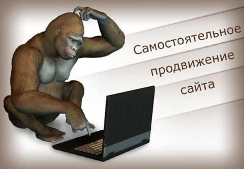 Методика самостоятельного продвижения сайта