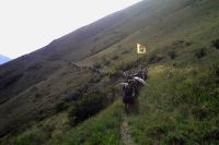 Заблудившиеся на Алтае туристы вышли из тайги и обрели веру благодаря крестному ходу