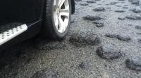 Алтайские кучки: необычно вздувшийся асфальт вызвал возмущение автолюбителей