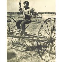 Один из старейших аукционных домов мира продает фотографию сенокоса на Алтае