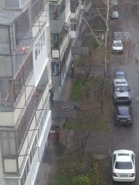 В Барнауле мужчина насмерть разбился, выпав из окна