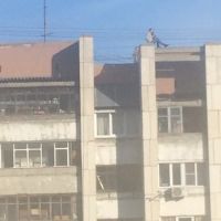 Барнаульцы обнаружили на карнизе девятиэтажного дома молодую «фотомодель»