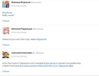 «Импортозаместительный» аналог Twitter сделал барнаульца антигероем соцсетей