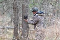 В Катунском заповеднике браконьеров будут отслеживать по спутнику