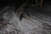 Авто сельского начальника ГИБДД на Алтае вынесло с трассы в лес