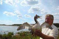 Фото алтайского эко-активиста Горбунова навлекли на него сразу три статьи