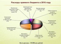 «А когда у нас было много денег в бюджете?»: алтайские парламентарии «свели дебет с кредитом» на 2016 год