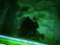 Горка раздора: в Рубцовске чиновники и предприниматели разошлись на льду