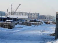 «Как бы не незаконно»: главу сельсовета на Алтае «ловят» на продаже леса в Китай