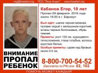 Около сотни барнаульцев участвуют в поисках пропавшего 10-летнего мальчика