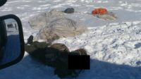 Призывник из Горно-Алтайска погиб под Хабаровском