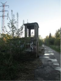 Активисты надеются восстановить Аллею Героев вдоль проспекта Космонавтов в Барнауле