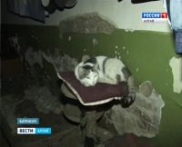 В Барнауле несколько семей живут в обесточенном подвале детсада