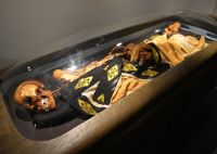 Мумия выйдет в люди: саркофаг алтайской принцессы выставят на всеобщее обозрение