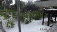 Град в Шипуновском районе