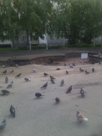 В Барнауле заново строят «голубиный» фонтан, закатанный в асфальт год назад