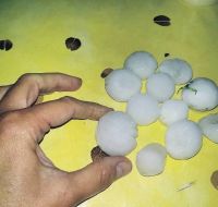 Жители Чемальского района едва не остались без личного транспорта в результате урагана