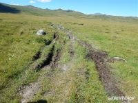 Greenpeace обнаружил «разгул дикого туризма» на заповедном алтайском плато