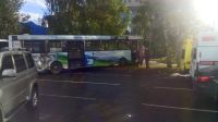 Береза остановила автобус, протаранивший четыре иномарки в центре Барнаула