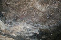 Жители Республики Алтай случайно нашли в пещере рисунки «Пикассо» каменного века