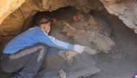 Вблизи алтайских гор ученые обнаружили мумию тюркского скакуна