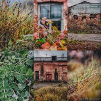 Осень на «Спичке»