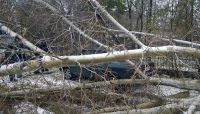 Строительный забор во время непогоды накрыл молодую бийчанку
