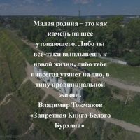 Писатель Владимир Токмаков запустил сбор средств на издание «научно-политического триллера» о Барнауле