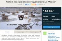 Рубцовскому приюту для животных не хватает коллективных «копеек» на ремонт веткабинета