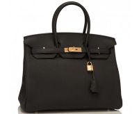 Коттедж алтайского думца в Москве «навестили» грабители