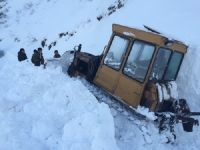 Два алтайских села в ближайшее время может накрыть мощной лавиной