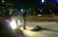 Барнаульская маршрутка несколько метров тащила пешехода по проезжей части