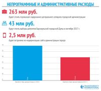 Борцы с коррупцией обнаружили социальные «изъяны» в новом бюджете Барнаула