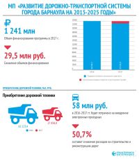 Борцы с коррупцией обнаружили социальные «изъяны» в новом бюджете Барнаула