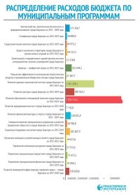 Борцы с коррупцией обнаружили социальные «изъяны» в новом бюджете Барнаула