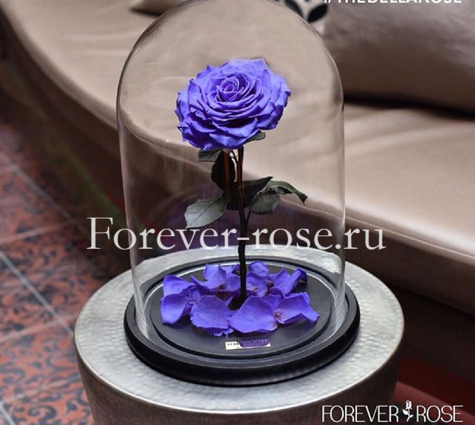 Роза в колбе: универсальный подарок