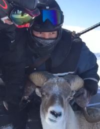 Прокуратура получила фото охотников на аргали в Кош-Агачском районе