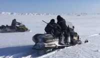 Прокуратура получила фото охотников на аргали в Кош-Агачском районе