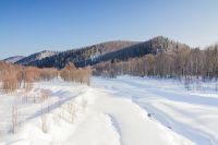 Чиновники согласны вырубить 20 км тайги вдоль Телецкого озера ради зимних экстремалов