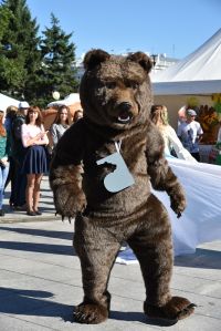 Лекции на китайском и «Дед Медвед»: барнаульские чиновники раздали очередной миллион для «притяжения» туристов