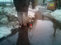 Владельцы общепита в алтайском селе борются с весенним потопом с помощью шланга