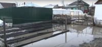 Паводок на улице Гвардейской