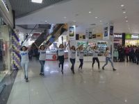 ЛДПР попыталась зарядить позитивом посетителей торгового центра
