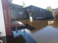 Огороды жителей Вылкова затопило грунтовыми водами